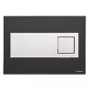 Fluidmaster Schwab Caro 384645 Dual-Flush Flushing Plate Black