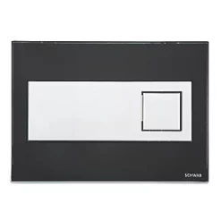 Fluidmaster Schwab Caro 4810 Dual-Flush Flushing Plate Black Glass